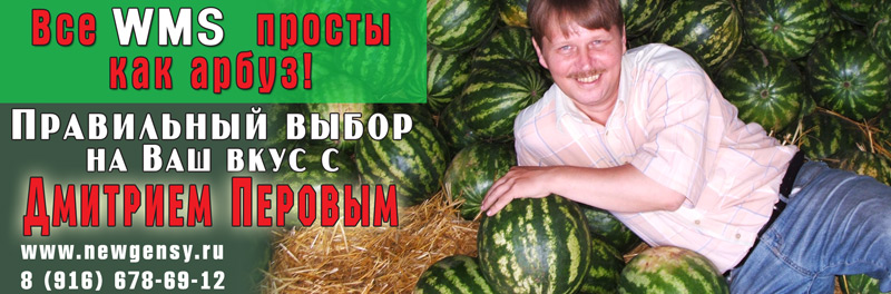 Эксперт Перов Дмитрий. Выбор WMS